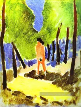  nude Peintre - Nude in Sunlit Landscape abstrait fauvisme Henri Matisse